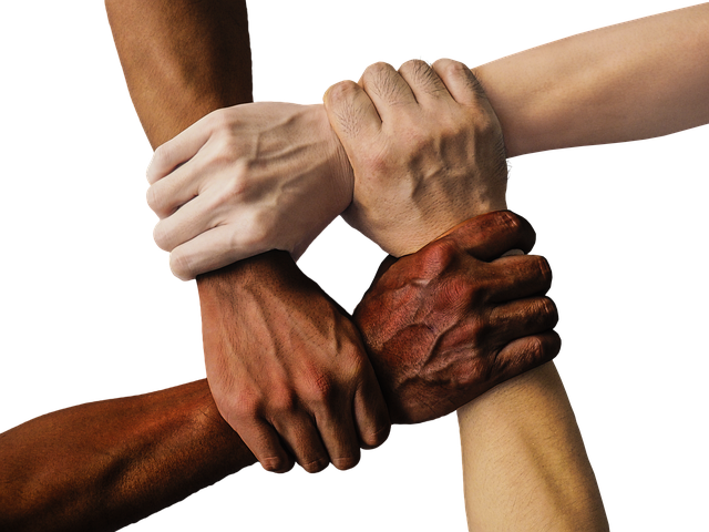 Legal vs illegal or harmful DEI